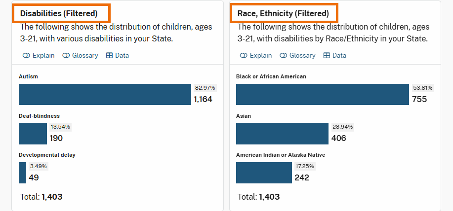 The "Disabilities" and "Race, Ethnicity" sections are displayed with filtered data applied, indicated by the labels "(Filtered)" next to their headings.